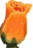 Blurred Orange Flower Clip Art